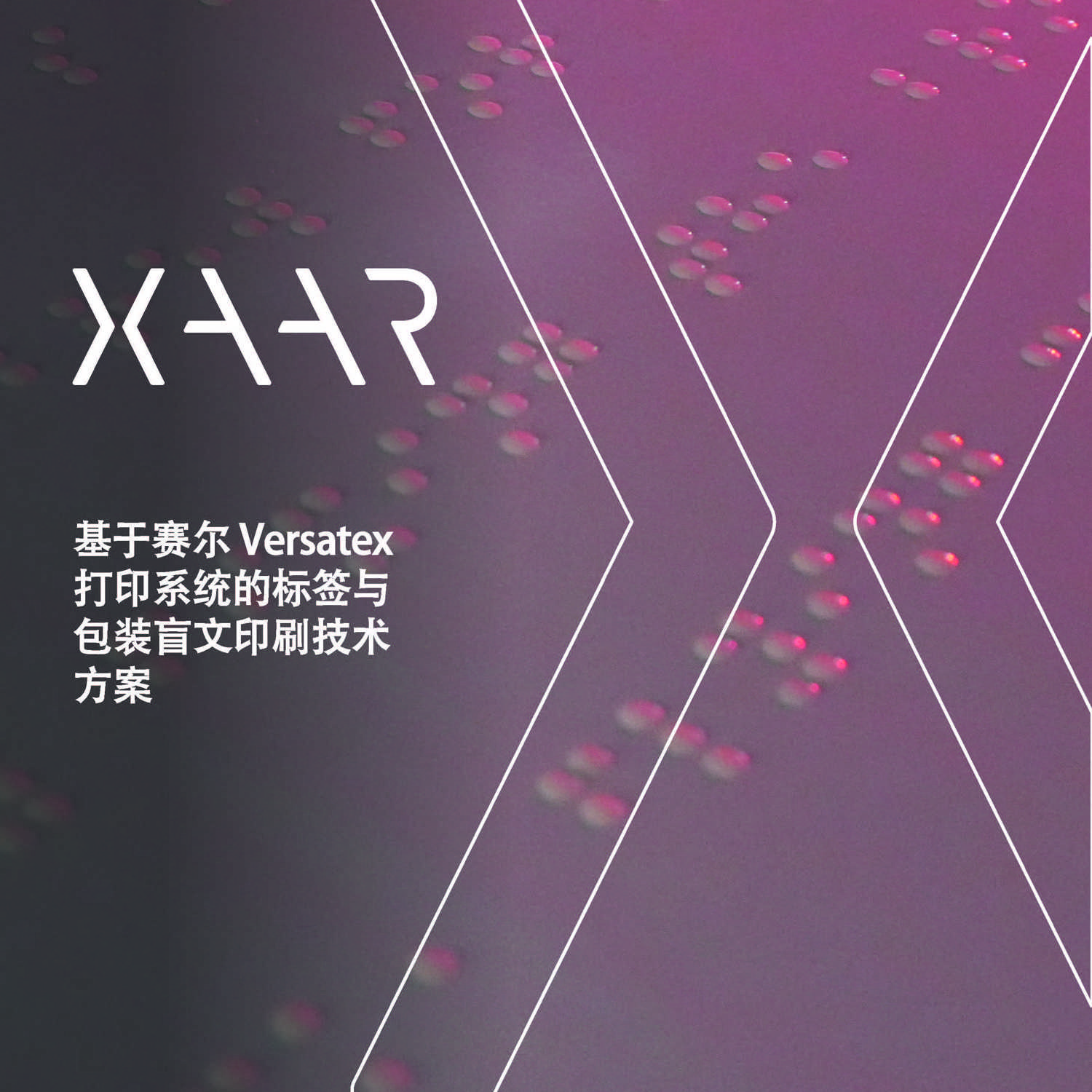 数字盲文印刷白皮书